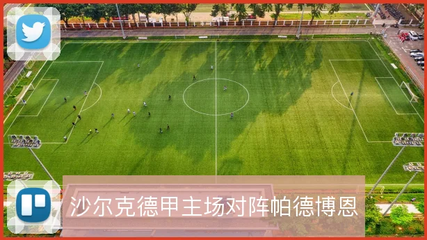 沙尔克德甲主场对阵帕德博恩