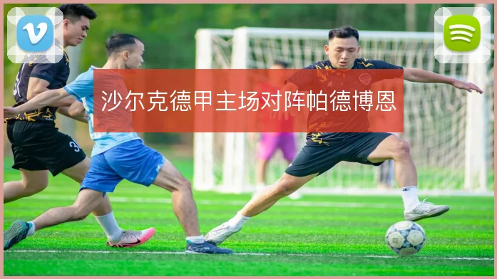 沙尔克德甲主场对阵帕德博恩