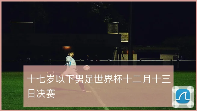 十七岁以下男足世界杯十二月十三日决赛