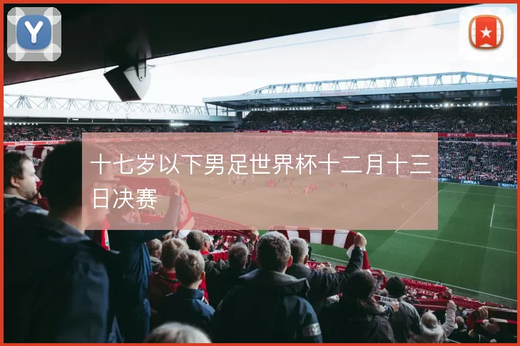 十七岁以下男足世界杯十二月十三日决赛