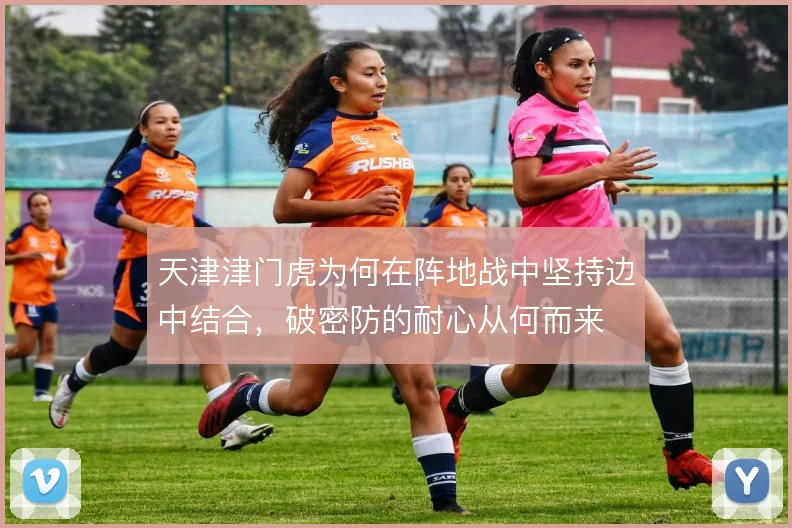 天津津门虎为何在阵地战中坚持边中结合,破密防的耐心从何而来